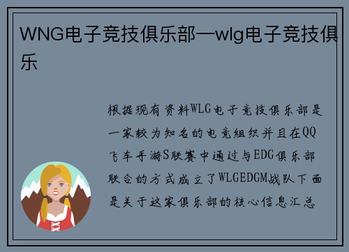 WNG电子竞技俱乐部—wlg电子竞技俱乐